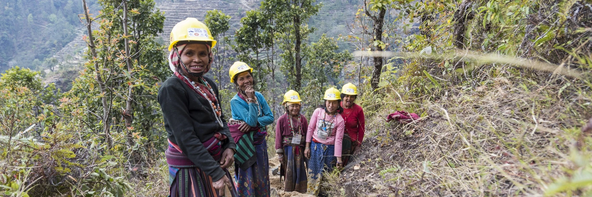 जलवायु उत्थानशिलता