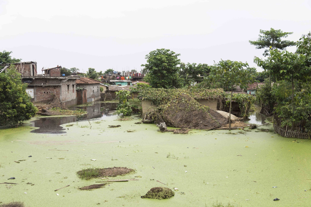 नेपालमा बाढीबाट ३,३६,००० भन्दा बदि प्रभावित । एलायन्स २०१५ का साझेदारहरूद्वारा अति जोखिममा भएकालाई खाद्यान्न तथा सरसफाई सामग्री बाँड्दै